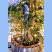 ヒメ日記 2026/02/14 06:40 投稿 あつこ 熟女の風俗最終章 相模原店