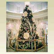 ヒメ日記 2025/12/21 00:31 投稿 あつこ 熟女の風俗最終章 町田店