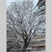 ヒメ日記 2026/02/08 22:01 投稿 あつこ 熟女の風俗最終章 町田店