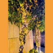 ヒメ日記 2026/02/19 00:20 投稿 あつこ 熟女の風俗最終章 町田店