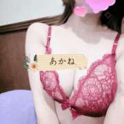 ヒメ日記 2025/01/08 19:19 投稿 あかね 新橋・汐留人妻ヒットパレード（シンデレラグループ）