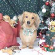 ヒメ日記 2025/01/03 10:09 投稿 るりこ♡天然ロリフェイス美少女♡ よかろうもん下関本店