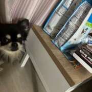 ヒメ日記 2025/04/04 11:06 投稿 るりこ♡天然ロリフェイス美少女♡ よかろうもん下関本店