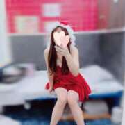 ヒメ日記 2024/12/24 16:03 投稿 ひなた トマトなび