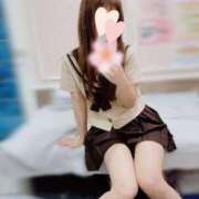 ヒメ日記 2024/12/26 19:16 投稿 ひなた トマトなび