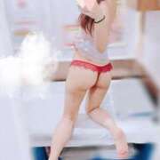 ヒメ日記 2025/03/13 19:02 投稿 ひなた トマトなび