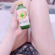 ヒメ日記 2025/08/27 16:30 投稿 ひなた トマトなび