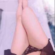 ヒメ日記 2025/11/11 22:45 投稿 ひなた トマトなび