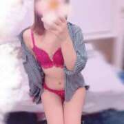 ヒメ日記 2025/11/20 13:30 投稿 ひなた トマトなび