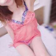 ヒメ日記 2025/11/28 12:05 投稿 ひなた トマトなび