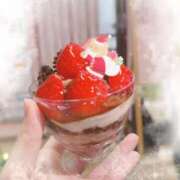 ヒメ日記 2025/12/24 14:30 投稿 ひなた トマトなび