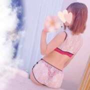 ヒメ日記 2026/02/13 12:06 投稿 ひなた トマトなび