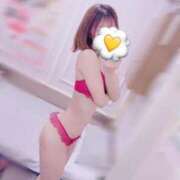 ヒメ日記 2026/02/25 12:04 投稿 ひなた トマトなび