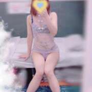 ヒメ日記 2026/03/29 19:16 投稿 ひなた トマトなび