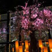 ヒメ日記 2025/03/20 20:08 投稿 そら　ゴールド 脱がされたい人妻 町田・相模原店