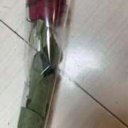 ヒメ日記 2025/12/12 07:05 投稿 そら　ゴールド 脱がされたい人妻 町田・相模原店