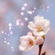 ヒメ日記 2025/03/28 08:34 投稿 松本弘子(まつもとひろこ) 五十路マダムエクスプレス厚木店(カサブランカグループ)