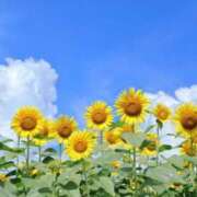 ヒメ日記 2025/08/17 10:48 投稿 松本弘子(まつもとひろこ) 五十路マダムエクスプレス厚木店(カサブランカグループ)