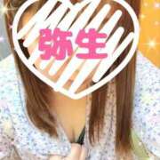 ヒメ日記 2025/04/12 13:01 投稿 牧瀬弥生(まきせやよい) 姫路マダム大奥