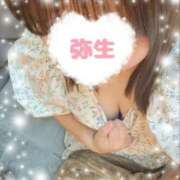 ヒメ日記 2025/06/01 08:41 投稿 牧瀬弥生(まきせやよい) 姫路マダム大奥