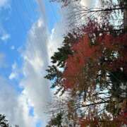 一葉(かずは) 受付終了 あなたの妻