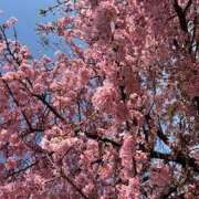 ヒメ日記 2026/03/07 18:13 投稿 一葉(かずは) あなたの妻