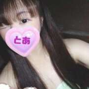 とあ こんばんは！ G-SCANDAL