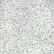 ヒメ日記 2025/02/24 13:46 投稿 優愛（ユア） アバンチュール(五反田)