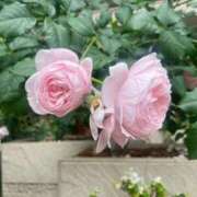 ヒメ日記 2025/05/18 17:01 投稿 優愛（ユア） アバンチュール(五反田)