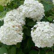 ヒメ日記 2025/06/20 15:01 投稿 優愛（ユア） アバンチュール(五反田)