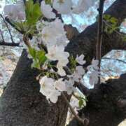 ヒメ日記 2026/04/02 23:01 投稿 優愛（ユア） アバンチュール(五反田)