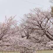 ヒメ日記 2024/03/31 18:33 投稿 ひばり 佐賀人妻デリヘル 「デリ夫人」