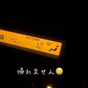 ヒメ日記 2025/01/16 01:19 投稿 ひばり 佐賀人妻デリヘル 「デリ夫人」