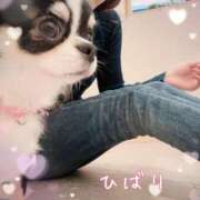 ヒメ日記 2025/01/31 23:07 投稿 ひばり 佐賀人妻デリヘル 「デリ夫人」