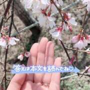 ヒメ日記 2025/03/13 21:04 投稿 ひばり 佐賀人妻デリヘル 「デリ夫人」