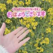 ヒメ日記 2025/03/18 08:15 投稿 ひばり 佐賀人妻デリヘル 「デリ夫人」