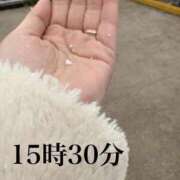 ヒメ日記 2025/03/18 16:06 投稿 ひばり 佐賀人妻デリヘル 「デリ夫人」