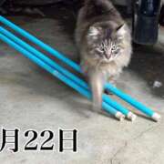 ヒメ日記 2025/03/22 10:04 投稿 ひばり 佐賀人妻デリヘル 「デリ夫人」