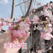 ヒメ日記 2025/03/27 11:25 投稿 ひばり 佐賀人妻デリヘル 「デリ夫人」