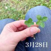 ヒメ日記 2025/03/28 11:19 投稿 ひばり 佐賀人妻デリヘル 「デリ夫人」