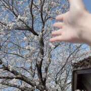 ヒメ日記 2025/03/30 09:51 投稿 ひばり 佐賀人妻デリヘル 「デリ夫人」