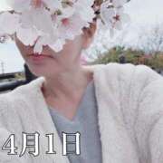 ヒメ日記 2025/04/01 11:26 投稿 ひばり 佐賀人妻デリヘル 「デリ夫人」