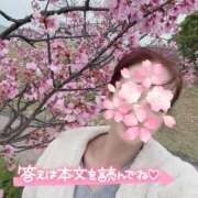 ヒメ日記 2025/04/01 17:01 投稿 ひばり 佐賀人妻デリヘル 「デリ夫人」