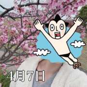 ヒメ日記 2025/04/07 12:41 投稿 ひばり 佐賀人妻デリヘル 「デリ夫人」