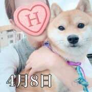 ヒメ日記 2025/04/08 11:56 投稿 ひばり 佐賀人妻デリヘル 「デリ夫人」