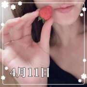 ヒメ日記 2025/04/11 10:59 投稿 ひばり 佐賀人妻デリヘル 「デリ夫人」