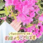 ヒメ日記 2025/04/21 08:06 投稿 ひばり 佐賀人妻デリヘル 「デリ夫人」