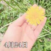 ヒメ日記 2025/04/24 11:27 投稿 ひばり 佐賀人妻デリヘル 「デリ夫人」