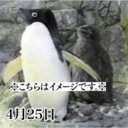 ヒメ日記 2025/04/25 13:35 投稿 ひばり 佐賀人妻デリヘル 「デリ夫人」