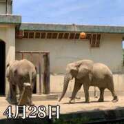 ヒメ日記 2025/04/28 09:33 投稿 ひばり 佐賀人妻デリヘル 「デリ夫人」